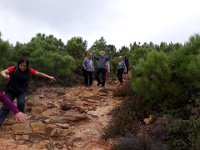 2018-11-12 14.43.45 (Grand)